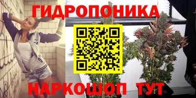 сатива Азнакаево