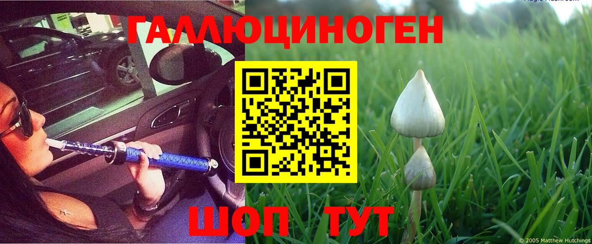 Псилоцибиновые грибы Psilocybe  Вход с VPN  Алексин 