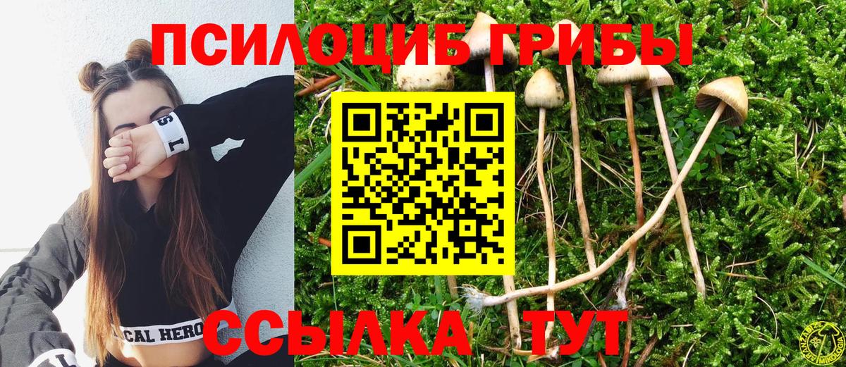 Галлюциногенные грибы мицелий Алексин